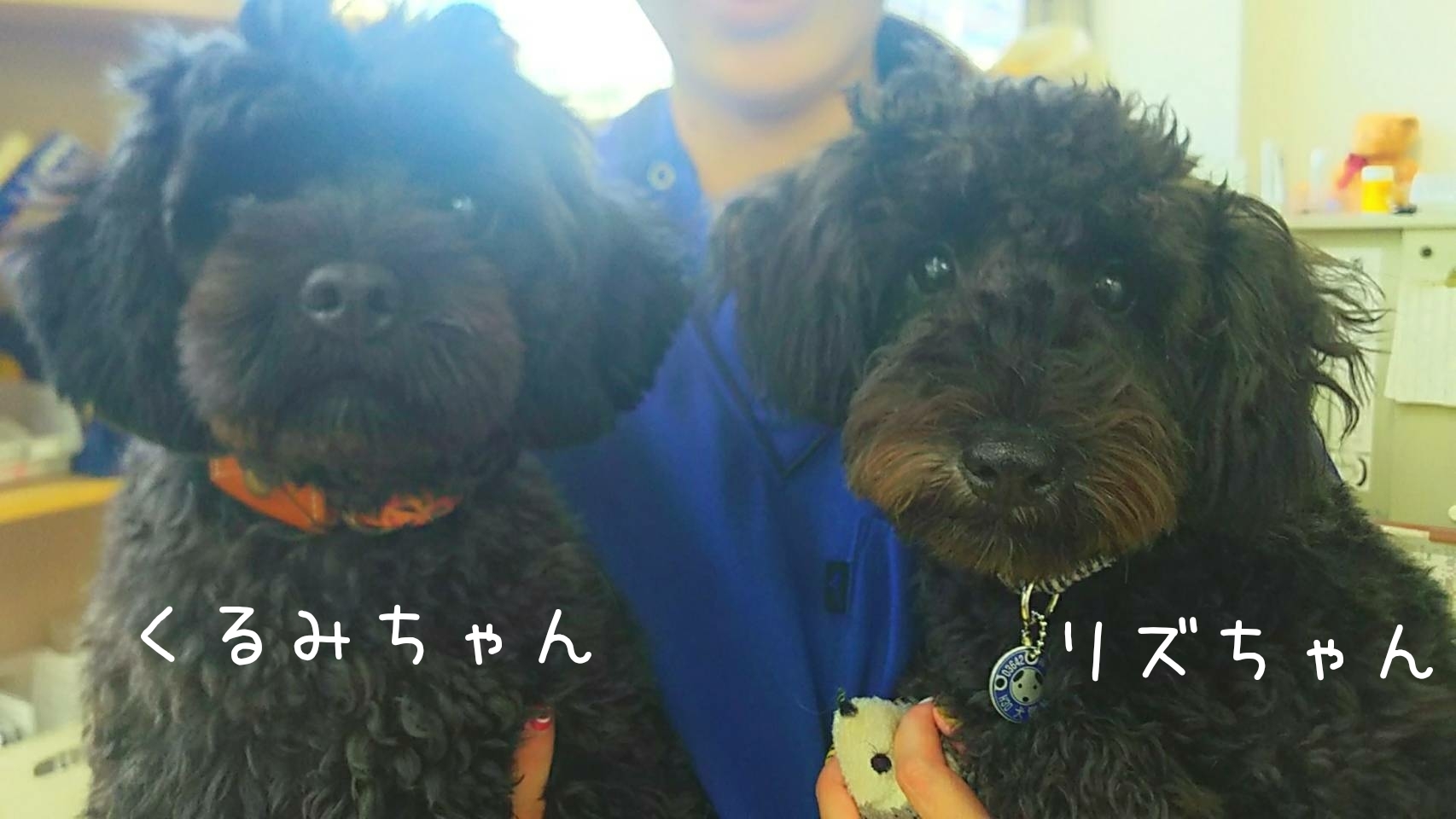 みんな友達👭_f0357682_08103748.jpg