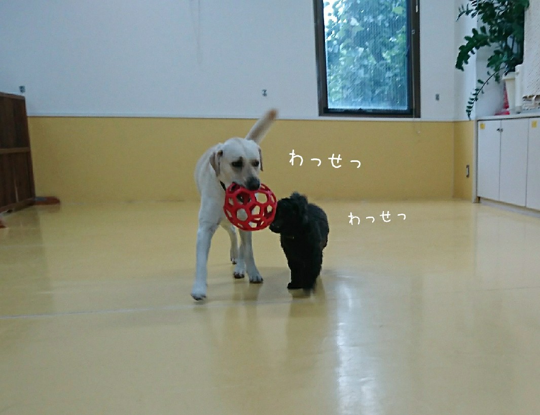 みんな友達👭_f0357682_08110367.jpg