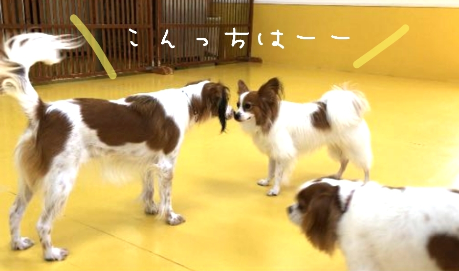 トレーニングブログ_f0357682_21181515.jpg