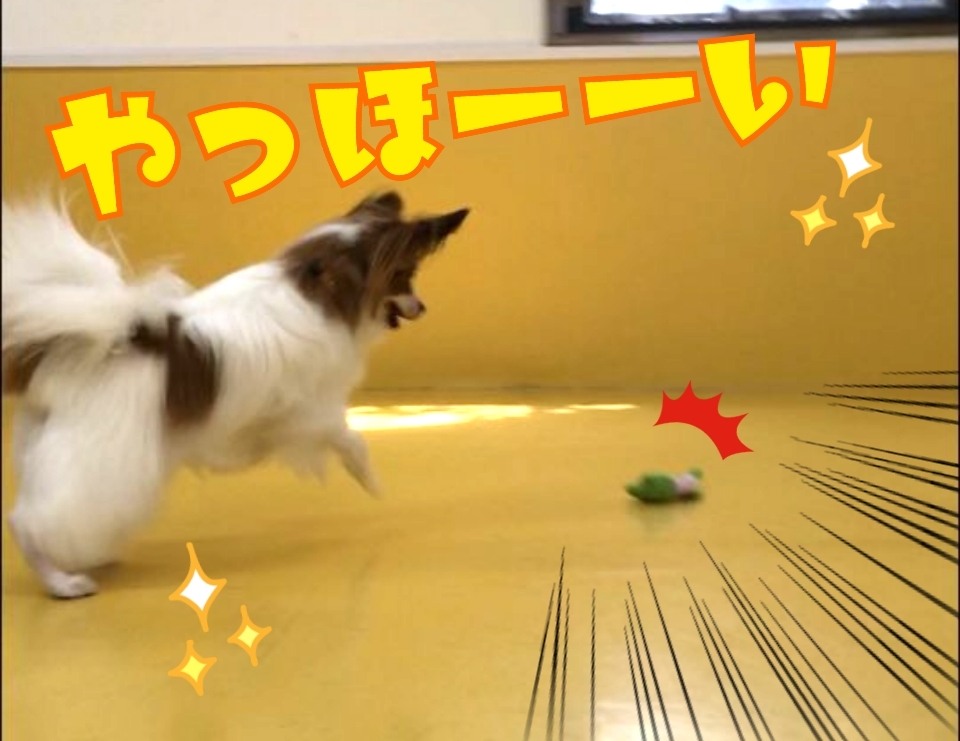 トレーニングブログ_f0357682_21194680.jpg