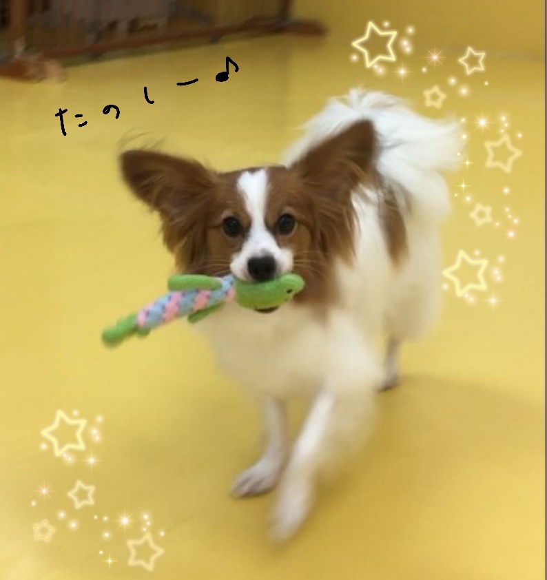 トレーニングブログ_f0357682_21205111.jpg
