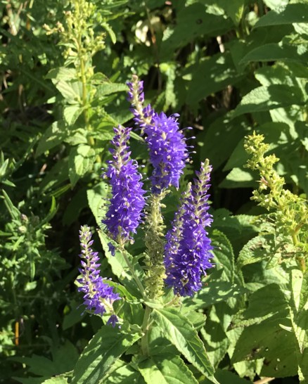 c0144185_20265179.jpg