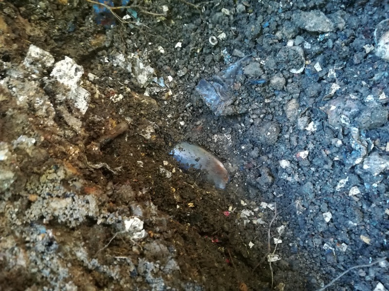 e0362685_17315888.jpg