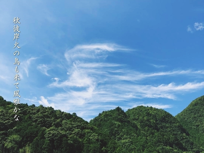 f0377688_07490689.jpg