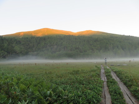 尾瀬散策～3日目・至仏山_d0198793_18152095.jpg