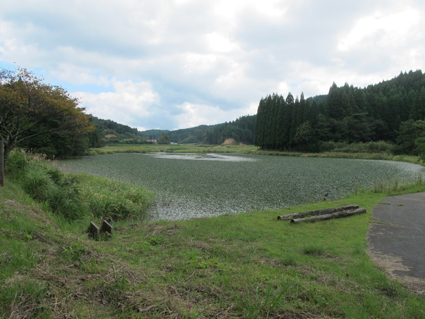 a0166196_17181591.jpg