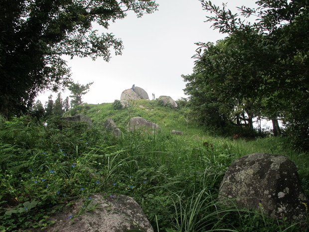 a0166196_17212218.jpg