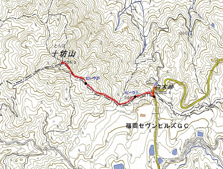a0166196_17273751.jpg