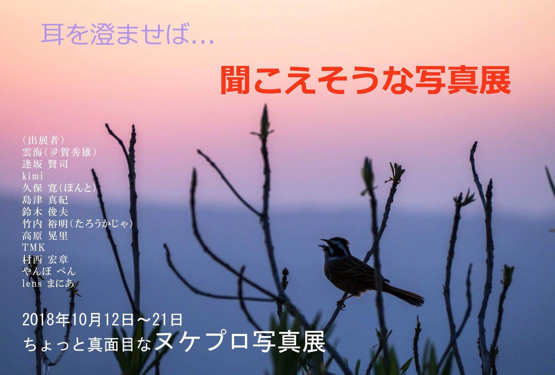 c0202101_14174974.jpeg