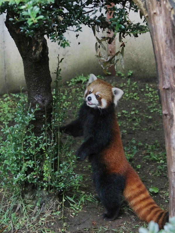 a0306502_21514808.jpg