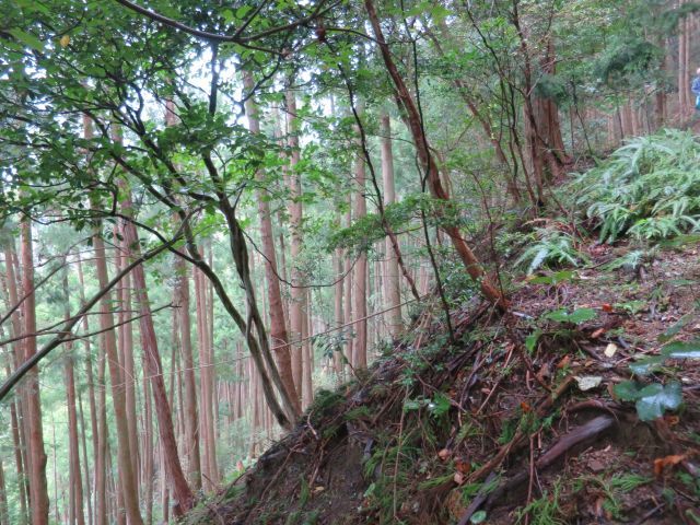 d0360104_00343738.jpg