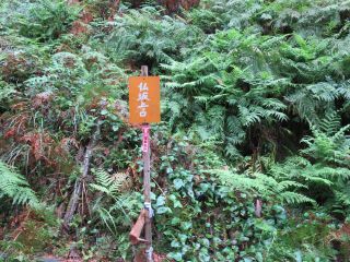 d0360104_00344616.jpg