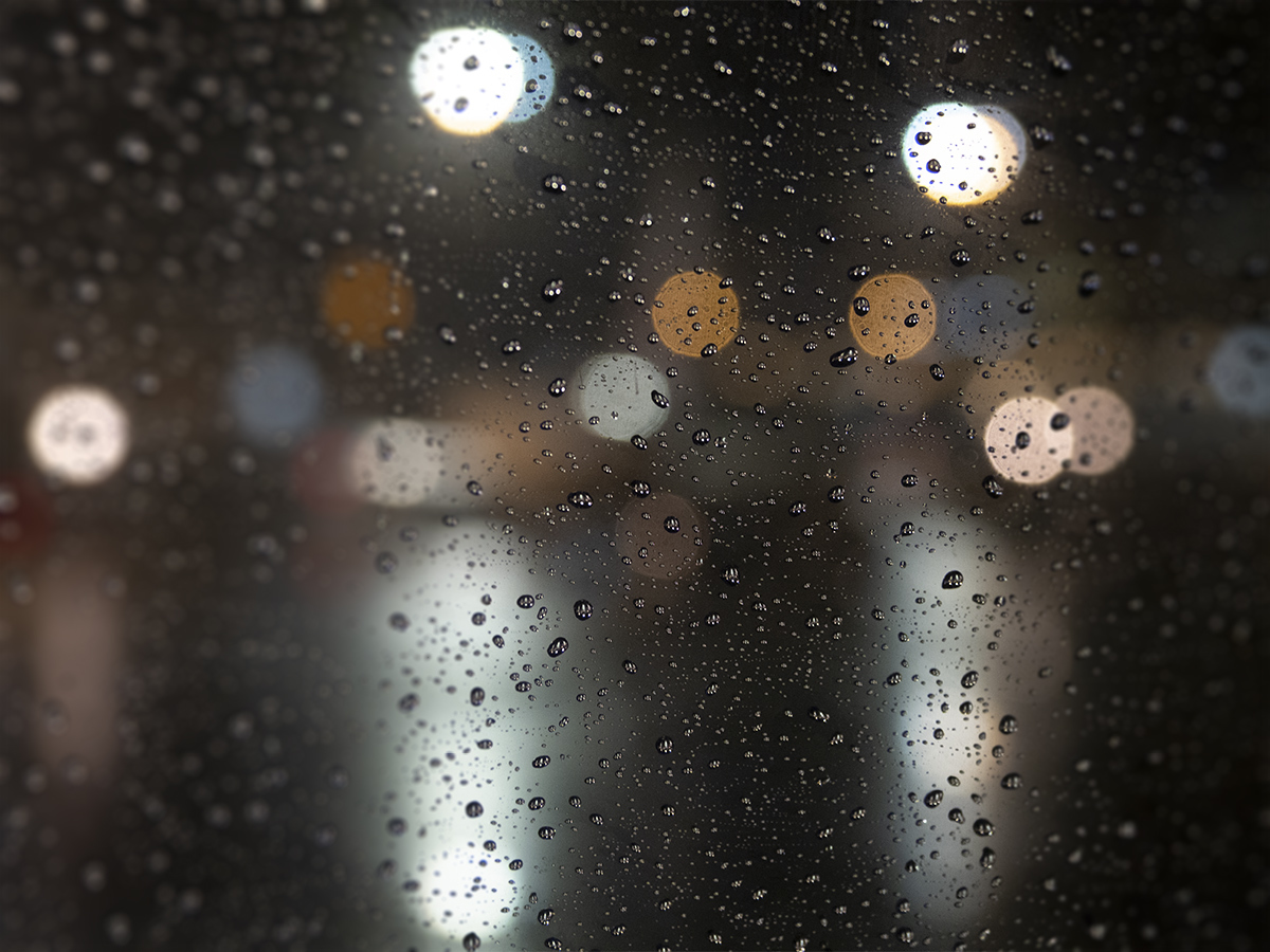 豪雨 9月20日(木)6530_b0069507_05322878.jpg