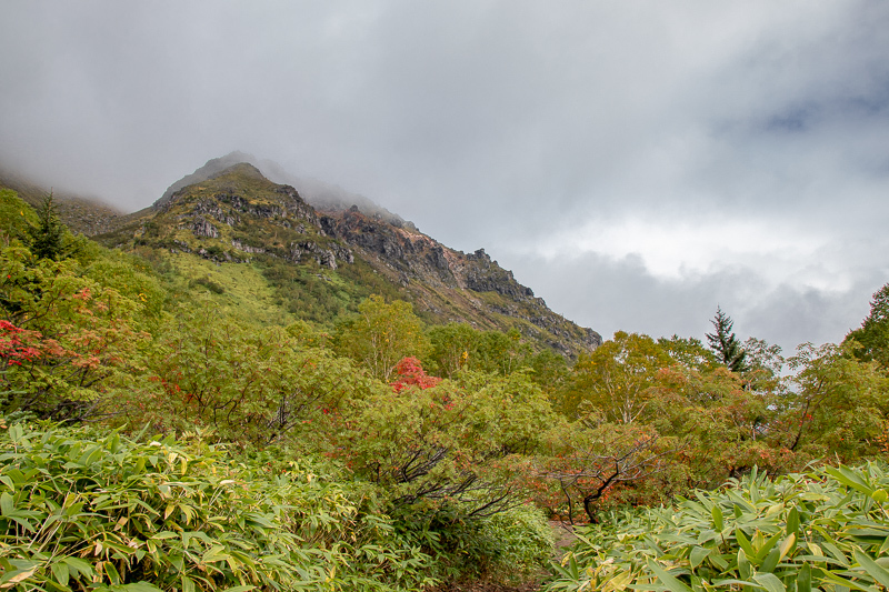 b0244811_17361353.jpg