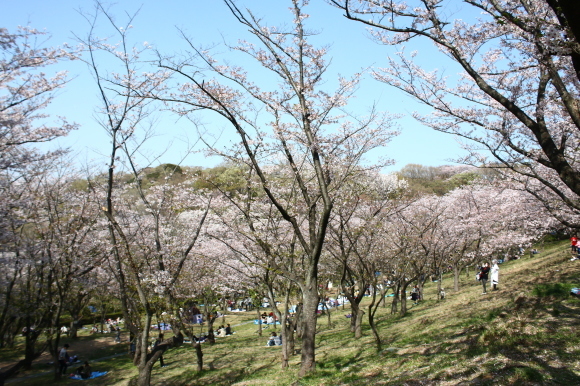 f0233916_21104712.jpg