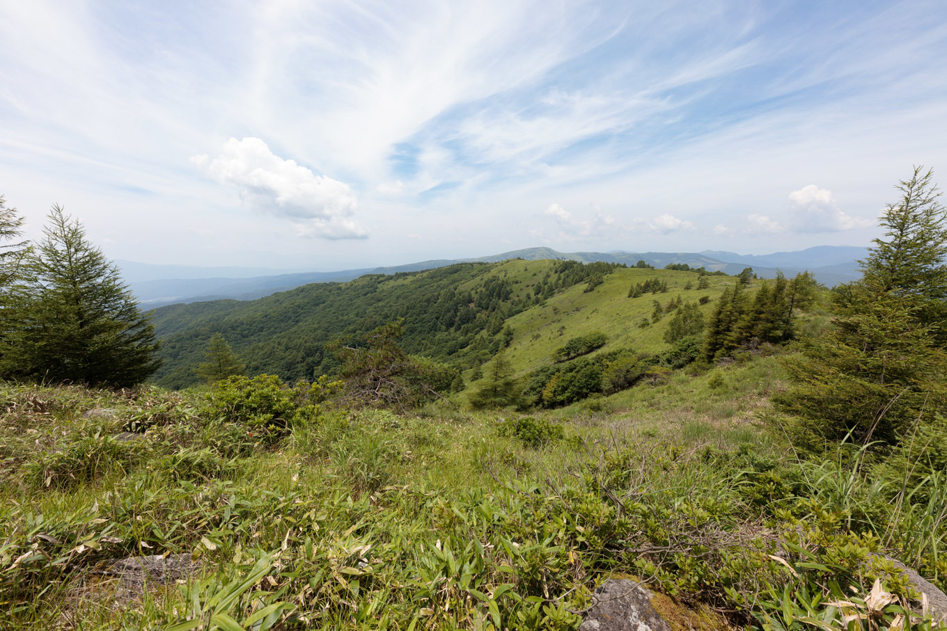 c0369219_20425270.jpg