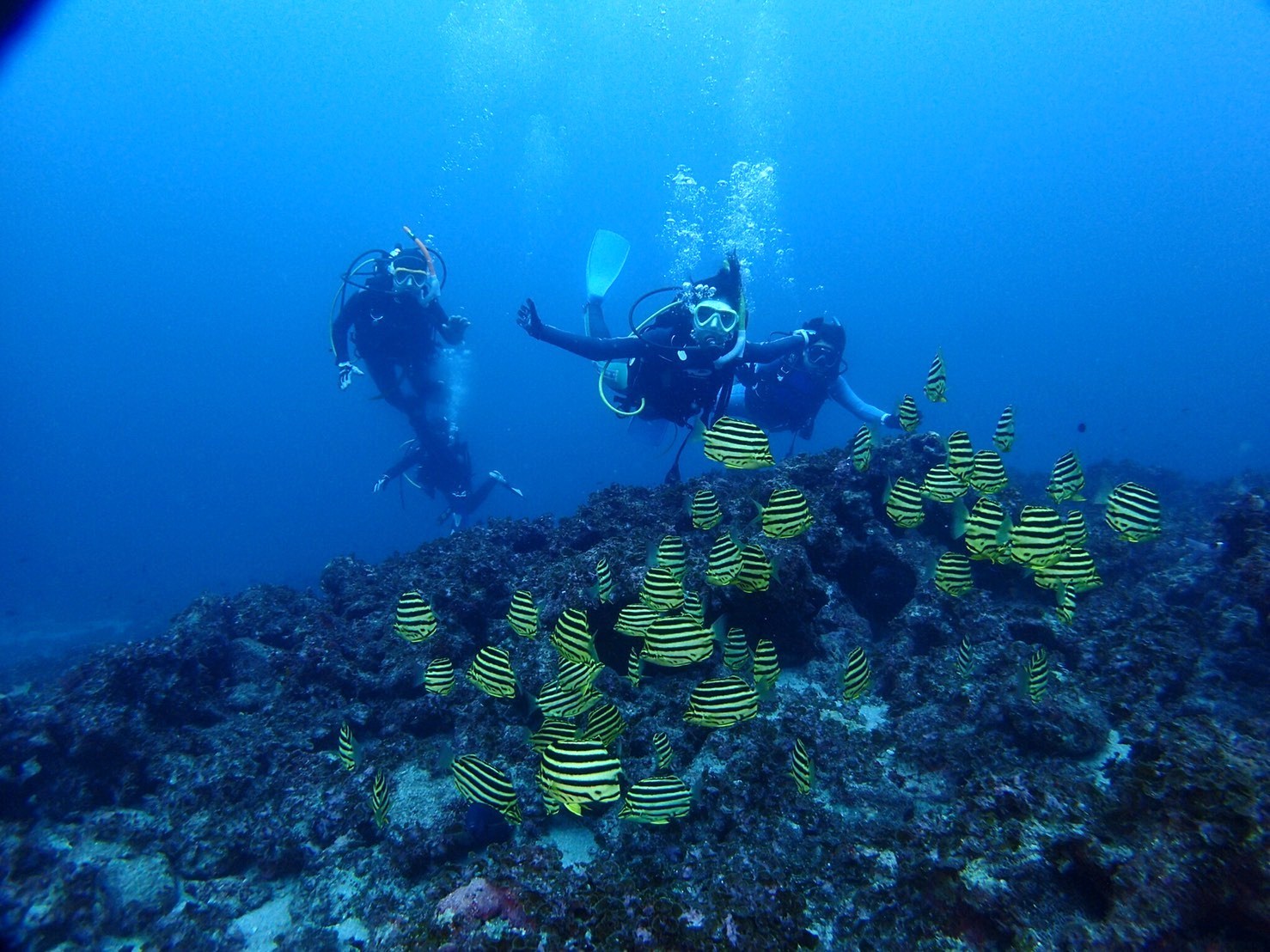 c0115421_20264711.jpg