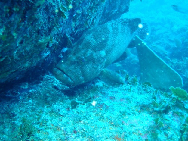 c0115421_20293013.jpg