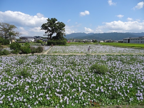 f0000521_07004872.jpg
