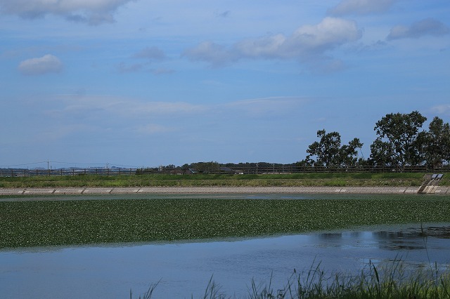 e0321325_11114381.jpg