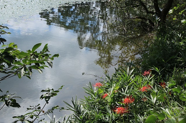 e0321325_11140578.jpg