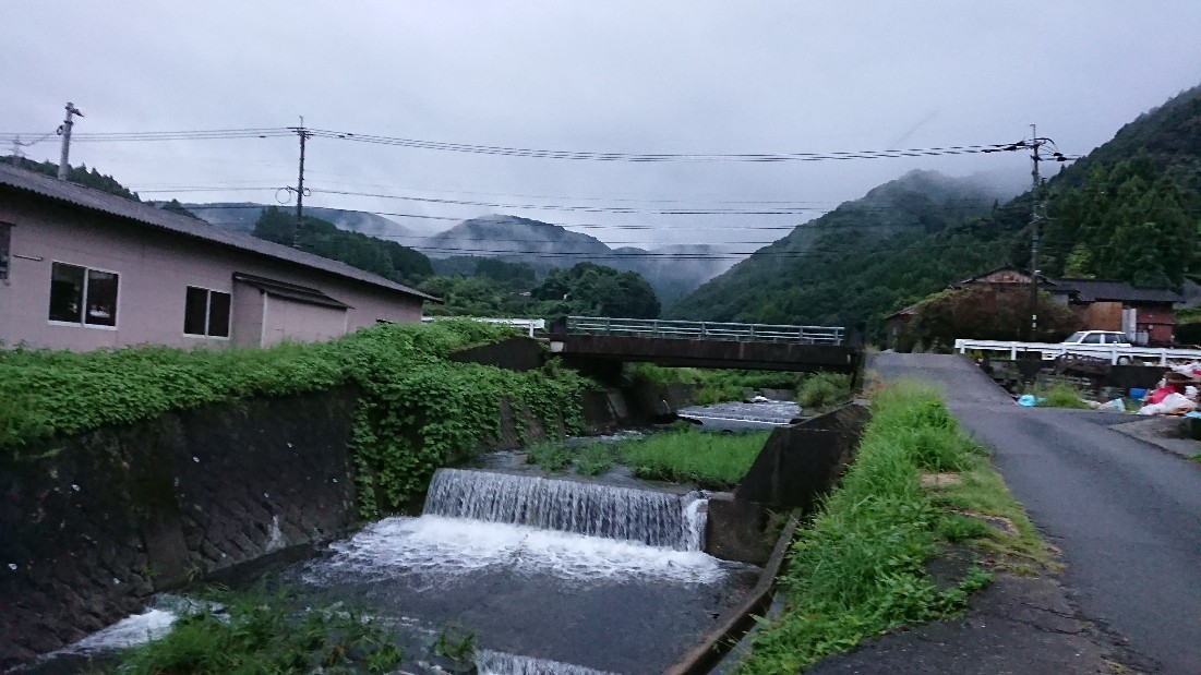 朝霧が清々しい雨の朝_b0098228_07012674.jpg