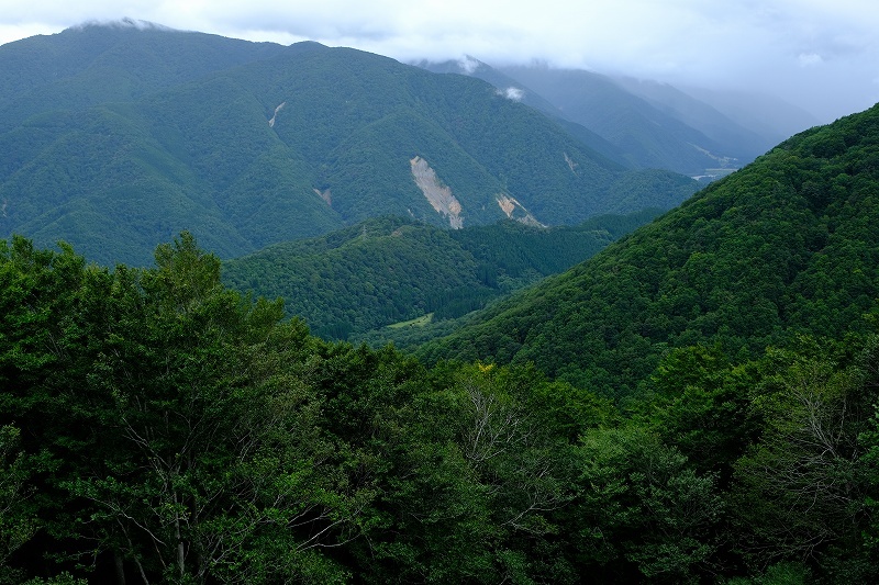 白山スーパー林道_f0050534_08151040.jpg