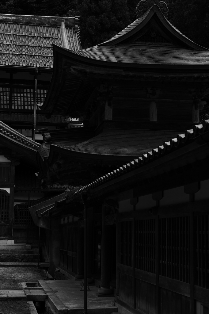 永平寺　２_f0050534_18454909.jpg