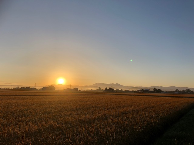 d0069235_13202984.jpg
