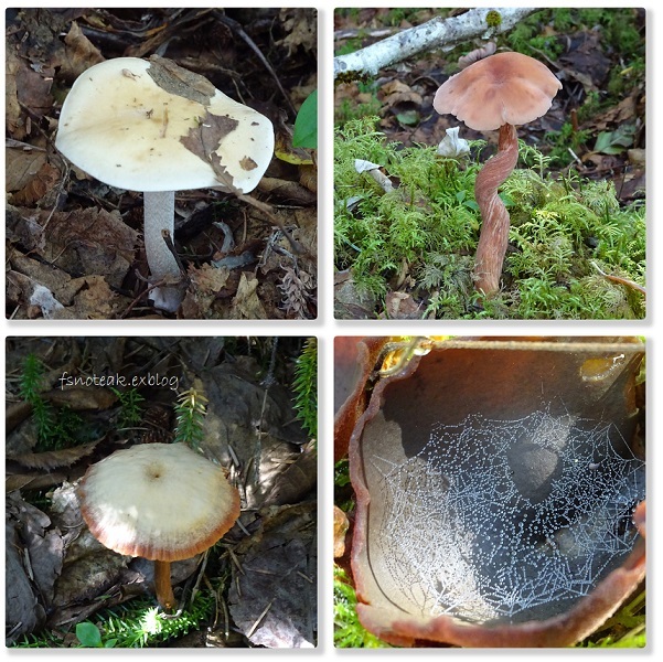 d0356844_03040363.jpg