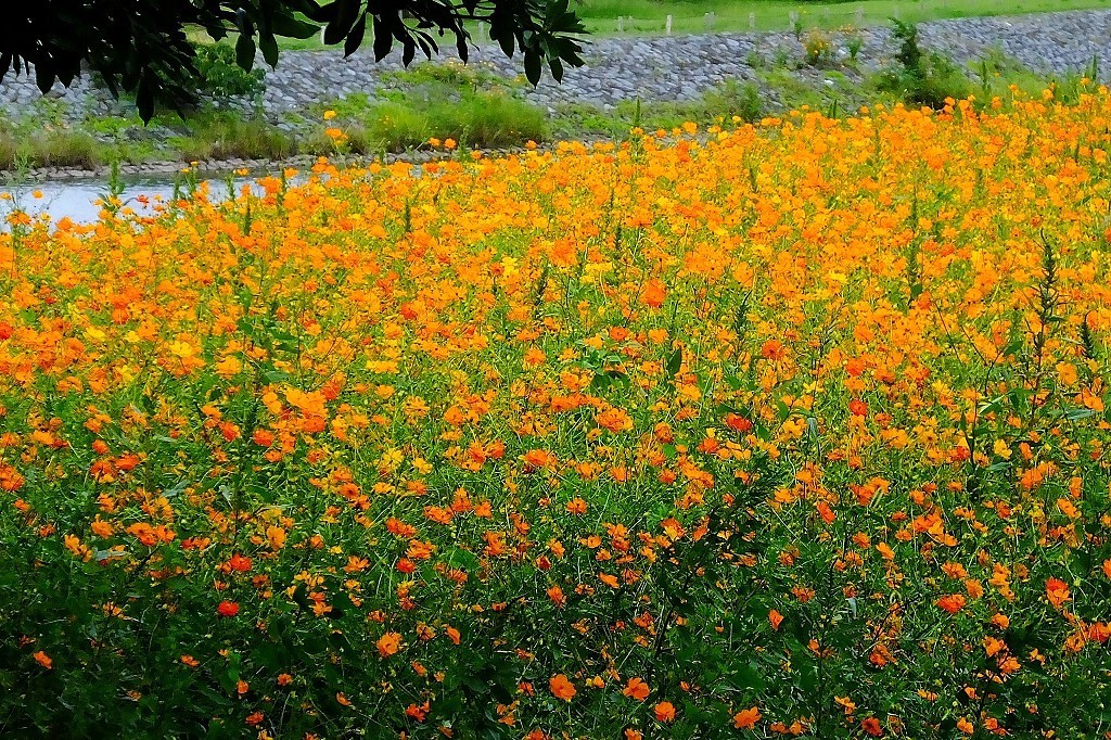 b0236251_11295473.jpg