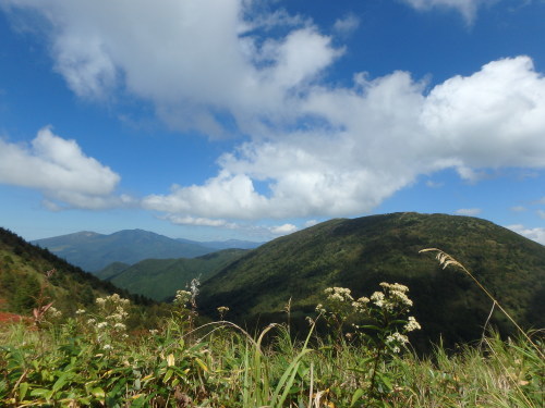 b0335256_11070661.jpg