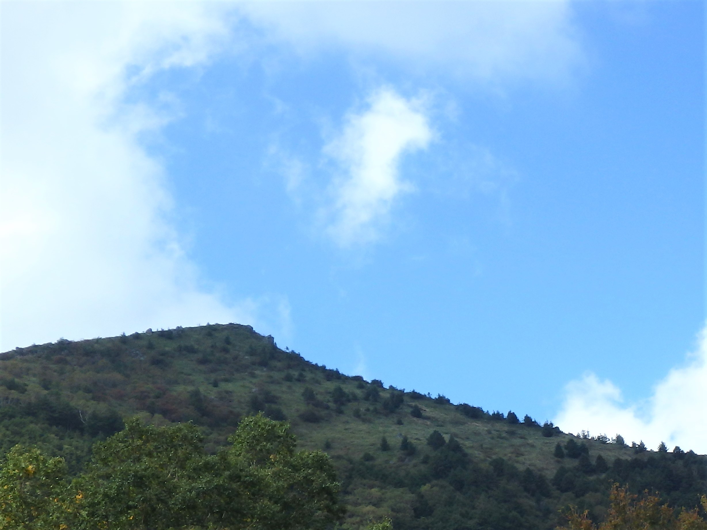 b0335256_12593553.jpg