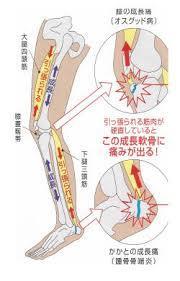 娘の成長痛にもセンタリング_c0207558_00012871.jpg