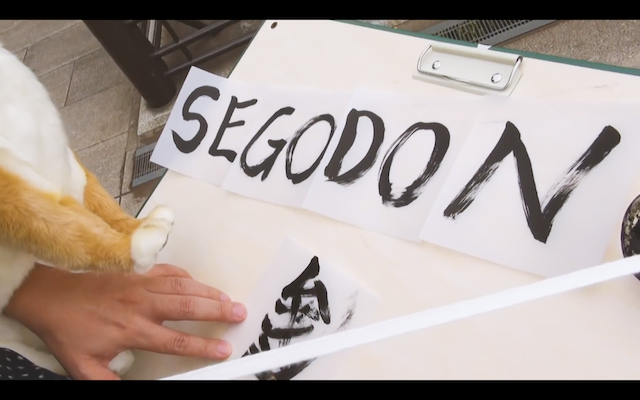 \"レキシ - 「SEGODON」 実録手書きドキュメンタリー風 MV\"ってこんなこと。_c0140560_12085818.png