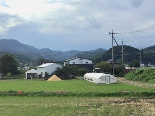 a0053063_14254947.jpeg