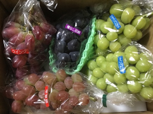 a0053063_14275938.jpeg