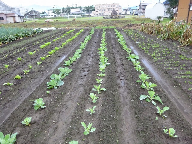 d0074063_07294761.jpg