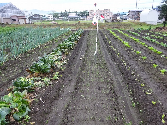 d0074063_07295637.jpg