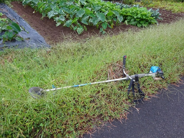 d0074063_07301257.jpg