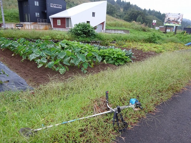 d0074063_07302017.jpg