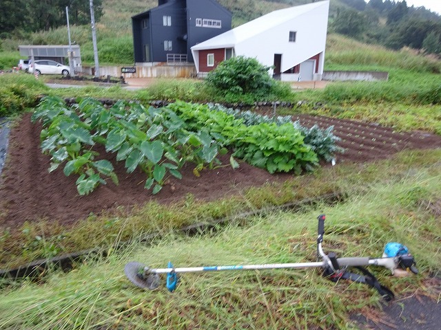 d0074063_07302921.jpg