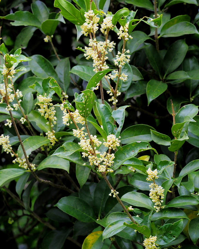 c0305565_17580413.jpg