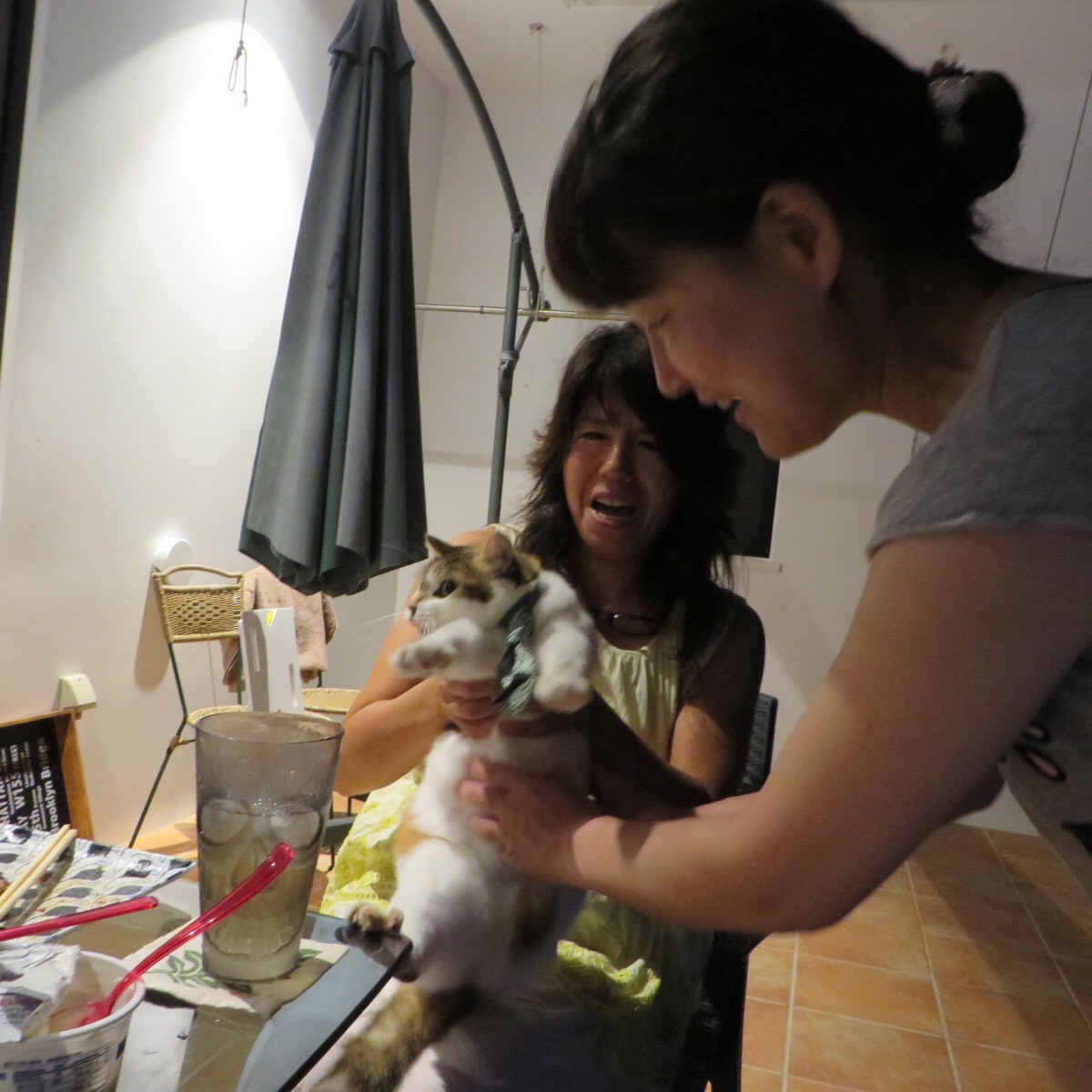 It was beautiful night._c0153966_20101793.jpeg