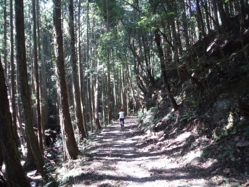 b0332867_19510976.jpg
