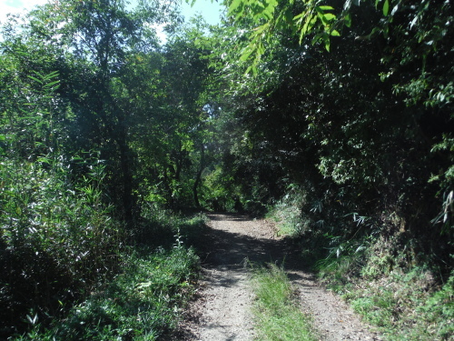 b0332867_19550212.jpg