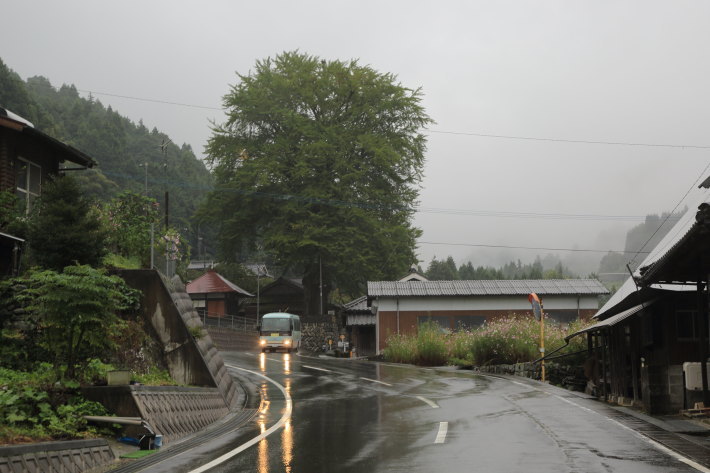 雨の情景_c0358784_23054177.jpg