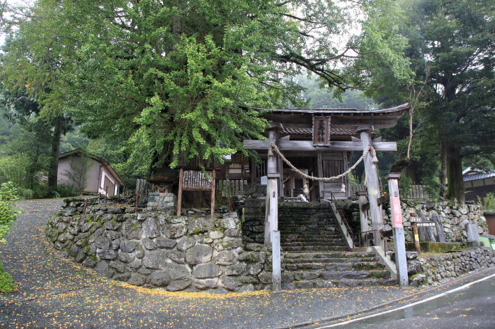 雨の情景_c0358784_23080208.jpg