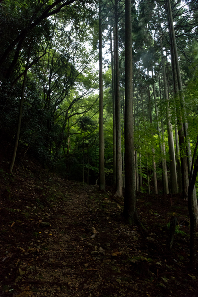 音無の滝_e0051888_06451698.jpg