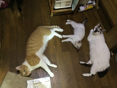 d0179994_00101328.jpeg